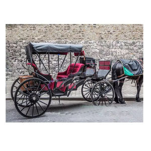 Calèche victorienne de mariage à chevaux à vendre - Calèche victorienne classique moderne avec couleur personnalisée en métal et bois - Product Image 6