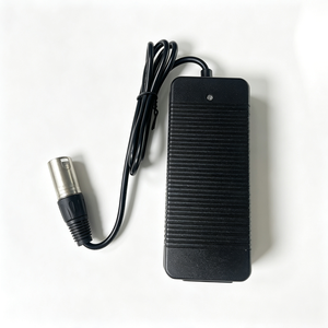 29.4V 2A 锂电池充电器 低待机功耗节能充电器，适用于24V迷你电动高尔夫球车 - Product Image 1