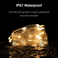 IP65 Étanche LED Fée Guirlande Lumineuse 5m Smart USB Éclairage Décoratif App Télécommande pour Les Fêtes De Noël En Plein Air