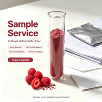 Extrait de fruit de Rubus Idaeus de qualité cosmétique professionnelle, poudre botanique naturelle pour les formules de soins du visage et de lavage corporel