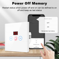 Interruptor Inteligente WiFi SIXWGH para Caldera, 10A, 1 Canal, 1 Vía, Panel Táctil, Monitor de Energía, Temporizador de Cuenta Regresiva, Control por Voz con Alexa y Google