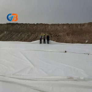 Geomembrana de HDPE Glory Bridge - Antipenetración, Antidesgarro, Duradera e Impermeable para Piscifactorías y Fundaciones de Presas con Garantía de Más de <span class=keywords><strong>5</strong></span> Años - Product Image 4