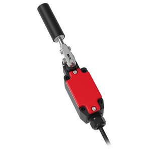 Interruptor de Seguridad Original y Nuevo 174301-HLM - Product Image 1