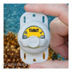 Onset Hobo Mx2203 <b>Temperature</b> <b>Logger</b> Ip67 Water Depth 120m Usb Interface Environmental Data <b>Logger</b> - Product Image 5