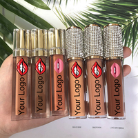 Moisture Lip Gloss, Private Label, Cosmetics Vendors