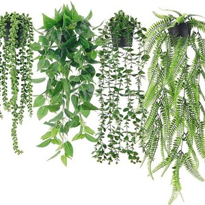 Conjunto <span class=keywords><strong>de</strong></span> Plantas Artificiales Colgantes con Eucalipto y Decoración <span class=keywords><strong>de</strong></span> Bonsái para Uso en Interiores, Pothos Artificial - Product Image 1