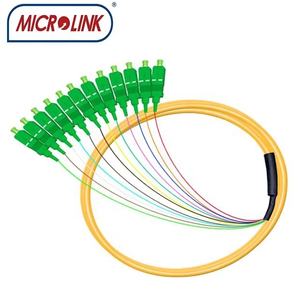 Fibra óptica SC UPC APC modo único G652D G657A 0,9mm 2mm 3mm OS2 fo12 fibra óptica Pigtail SC 12 Core fibra pigtail - Product Image 5