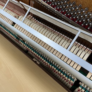 Piano Vintage Youngchang <span class=keywords><strong>Weber</strong></span> PW-48X, marteaux en acajou de qualité supérieure, son chaud pour examens de musique et concerts à domicile - Product Image 5
