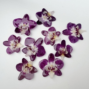 Pingente de Orquídea Seca Real em Resina UV Ecológica, Delicado e Elegante, em Várias Cores, para Colar e Brinco - Product Image 2