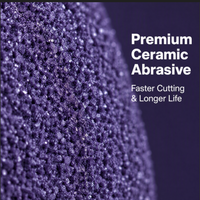 Disques abrasifs multi-trous en céramique PET REX 125 mm 150 mm certifiés ISO TUV pour le polissage de la peinture automobile et des métaux