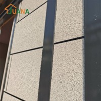 Panneau sandwich en PU, panneau mural isolé pour maison préfabriquée, épaisseur 20 mm, galvanisé