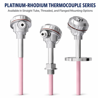 Sensor Suhu Tinggi Termokopel Platinum Rhodium Tipe S dengan Tabung Keramik Alumina, Berperingkat IP55, Dilengkapi WiFi, ODM OEM untuk Industri