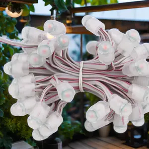 Miracle Bean Holiday Decoration Lights Outdoor IP67 12V Warm White Led Pixel Smd5050 2P Wires Led Pixel String Bulb Light