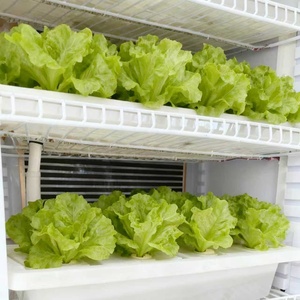 Gabinete de crecimiento de plantas de <span class=keywords><strong>cultivo</strong></span> sin tierra de doble puerta inteligente <span class=keywords><strong>interior</strong></span> para el hogar/restaurante - Product Image 5