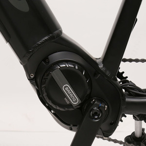 אלטוס אחורי 9 מהירויות ebike 500w 48v ebike ההר - Product Image 6