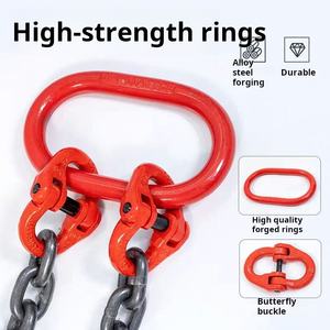 ที่หนีบจานยกโซ่ขนาด1-5ตันพร้อมโซ่สลิงยกแบบแนวนอนป้องกันการลื่น - Product Image 4