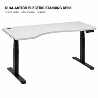 Bureau debout moderne en acier inoxydable, réglable en hauteur, à double moteur, électrique, ergonomique, pour ordinateur, bureau à domicile