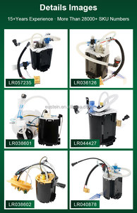 LR014301 WFX101060 EUSTEIN Brandstofpomp-assemblage voor Land Rover Range Rover 3 L322 Discovery 2 L318 met professionele fabrikant - Product Image 2