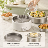 Cuiseur à œufs électrique automatique en acier inoxydable 350W avec minuterie et arrêt automatique, cuiseur vapeur double couche, chauffe-plats pour la cuisine