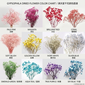 Arreglo <span class=keywords><strong>de</strong></span> Gypsophila Blanca <span class=keywords><strong>de</strong></span> Calidad Superior, Decoraciones Florales para Bodas, Plantas <span class=keywords><strong>de</strong></span> Flores Secas Preservadas, Ramo <span class=keywords><strong>de</strong></span> Gypsophila - Product Image 3