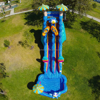 Toboggan aquatique gonflable géant pour enfants et adultes sur le thème de l'Hawaï, pour fêtes sur la plage, avec piscine