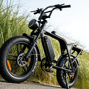 Usine OEM/ODM OUXI V8 48V 250W Vélo électrique Vélo électrique à pneus gras 20 pouces Vélo électrique - Product Image 1