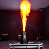 Nouvel Arrivage Projecteur de Flammes Scéniques DMX512 à 6 Angles, Contrôle Manuel/à Distance, 200W, Hauteur 1-3m, pour DJ, Mariages, Bars, en Métal