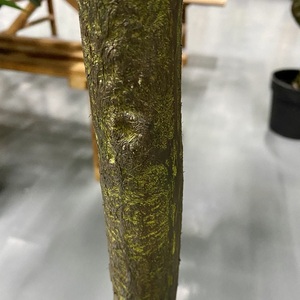 ต้นส้มประดิษฐ์<span class=keywords><strong>ต้นไม้</strong></span>ในร่มที่<span class=keywords><strong>สวย</strong></span>งามสำหรับตกแต่งบ้าน - Product Image 4