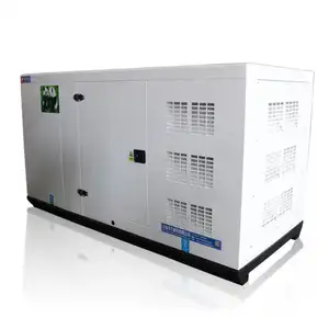 Rijke Braand Diesel Generator Stille Type Open Type 50kva 80kva 100kva 300kva 1100kw 2500kw Cummins Stamnford Met Ats