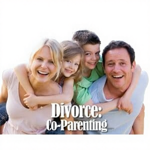 Simply Media: Crianza Compartida Durante el Divorcio con Artículos de Maternidad - Product Image 1