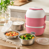 Chauffe-plat portable double couche 200W 2L, boîte à lunch électrique chauffante portable, boîtes à lunch électriques en acier inoxydable de 7 pouces