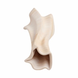 Vaso in porcellana testurizzata con silhouette fluida per un tocco decorativo nel soggiorno - Product Image 6
