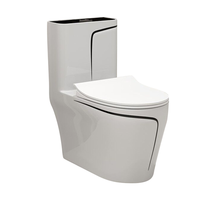 Système de colonne de douche de luxe pour salle de bain, en acier inoxydable doré, avec panneau de douche cascade 	 Céramiques pour toilettes