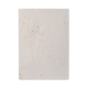 A5 sheet ASIDE <b>paper</b> <b>seeds</b> ecological gadgets - Product Image 4