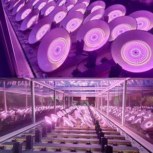 <span class=keywords><strong>Luffa</strong></span> citrouille courgette croissance spectre complet aluminium étanche 50w 80w LED lampes <span class=keywords><strong>de</strong></span> croissance des plantes utilisation en serre - Product Image 5