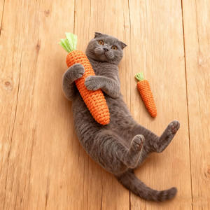Jouets pour chats en gros, corde de chanvre, carotte, teaser pour chat, jouet interactif pour chat, divertissement autonome - Product Image 1