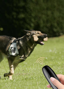 Dispositivo de entrenamiento ultrasónico para perros, repelente antiladridos para entrenamiento canino - Product Image 3