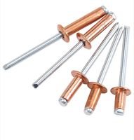 Rivets à tête aveugle en cuivre