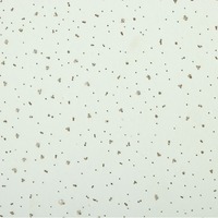 Panneau de plafond en laine minérale acoustique, résistant à l'humidité, ignifuge, pour bureau, salle de réunion, salon, plafond suspendu