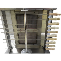 Machine à shawarma au gaz automatique à 2 brûleurs de qualité commerciale, excellent rapport qualité-prix