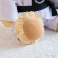Ours en peluche adorable de 11 pouces, ours de karaté, jouet en peluche d'arts martiaux, cadeaux ceinture noire de Taekwondo
