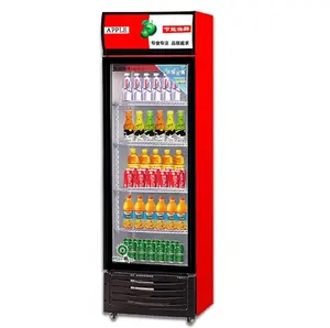 380L 800L 1100L 220V50hz R134a display per frutta e bevande congelatore armadio freddo frigorifero antideflagrante