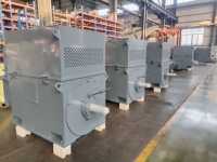Moteur haute tension 6KV-13.8KV à induction asynchrone à cage d'écureuil électrique