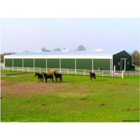 Estructura de acero prefabricada Granero de caballos y establos de caballos de marco de acero para la venta como refugio de caballos
