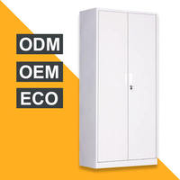 Armoire en acier robuste et moderne pour la maison, le bureau et la salle de sport, 2 portes, rangement de dossiers en métal avec finition écologique