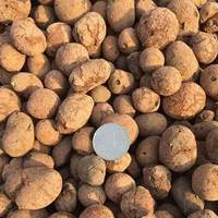 <strong>Best</strong> Quality Brown Leca Balls Horticultural Ceramsite <strong>Clay</strong> <strong>Pebbles</strong> 40L/bag for Hydroponic Soilless Cultivation Home Gardens