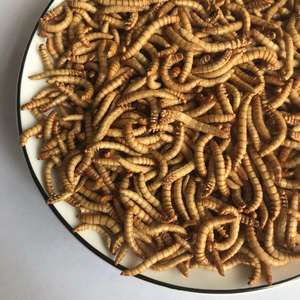 Minhocas secas de refeição congelada, minhocas reptilhas de pássaro, alimentos comestíveis, inseto amarelo, minhoca - Product Image 4