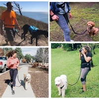 Accessoires pour chiens en gros : Laisse double de luxe en nylon pour dressage et course, idéale pour le teckel