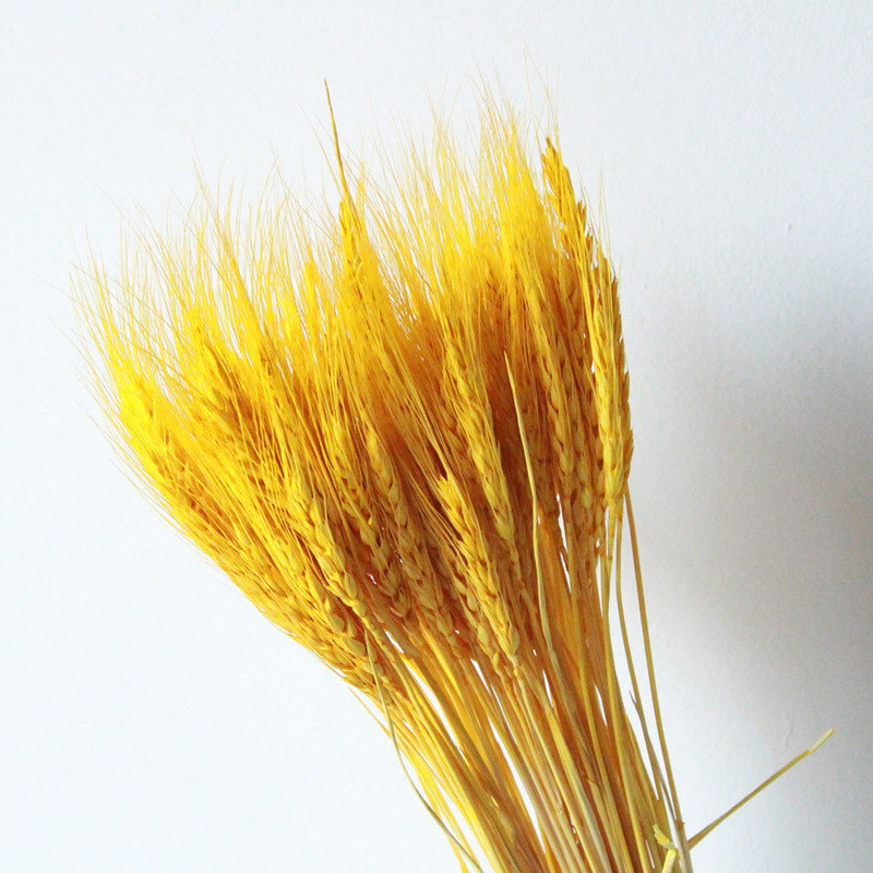 Внутреннее украшение, сухие цветы, в продаже