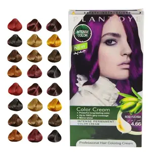OEM 23 Colors Daily Use Long Lasting Permanent Hair Dye Self Operate Easy Use Custom Color Available 60ml*2